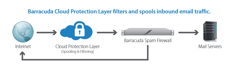 Barracuda infographic