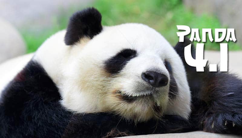 Panda-4.1 SEO update from Google