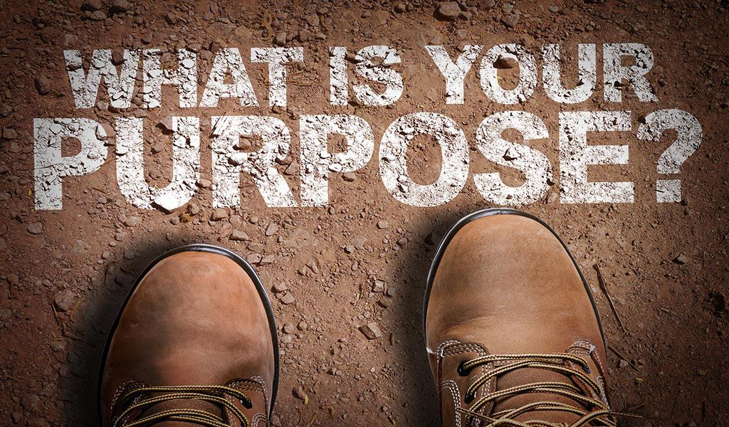 Define the purpose of your website