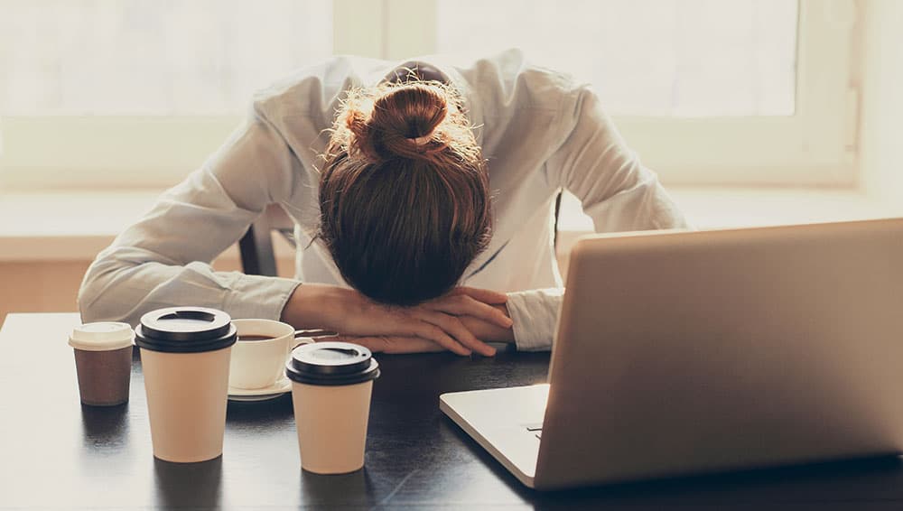 Why Most Small Business Search Engine Optimization Campaigns Fail